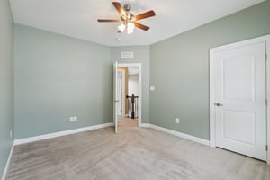 Sapling Ct-S2301-046.jpg