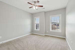 Sapling Ct-S2301-047.jpg