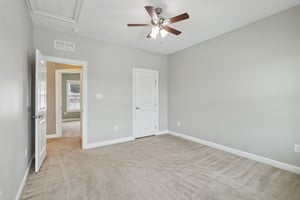 Sapling Ct-S2301-048.jpg