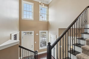 Sapling Ct-S2301-049.jpg