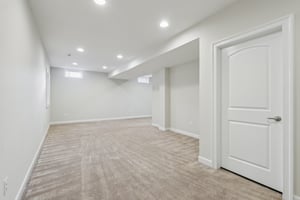 Sapling Ct-S2301-051.jpg