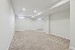 Sapling Ct-S2301-052.jpg