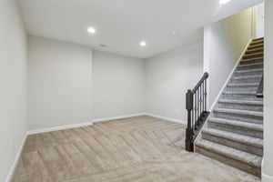 Sapling Ct-S2301-053.jpg