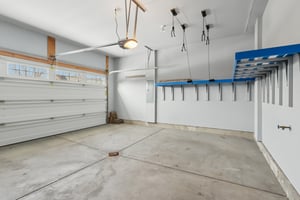 Sapling Ct-S2301-055.jpg