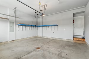 Sapling Ct-S2301-056.jpg