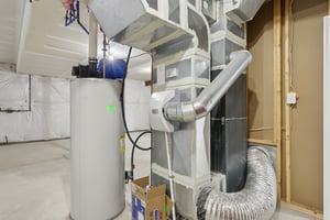 Sapling Ct-S2301-057.jpg