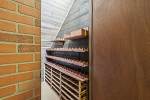 Sapling Ct-S2301-058.jpg