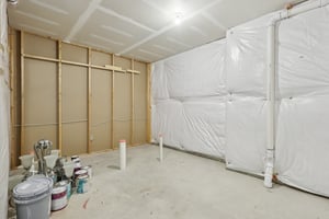 Sapling Ct-S2301-059.jpg