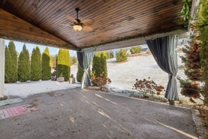 Sapling Ct-S2301-063.jpg