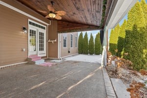 Sapling Ct-S2301-064.jpg