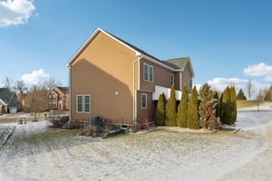 Sapling Ct-S2301-066.jpg