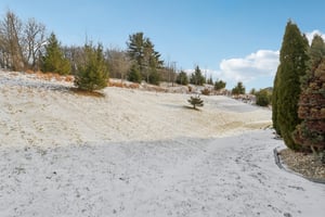 Sapling Ct-S2301-070.jpg