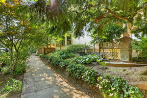  Photo 37