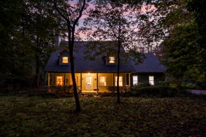  Photo 41