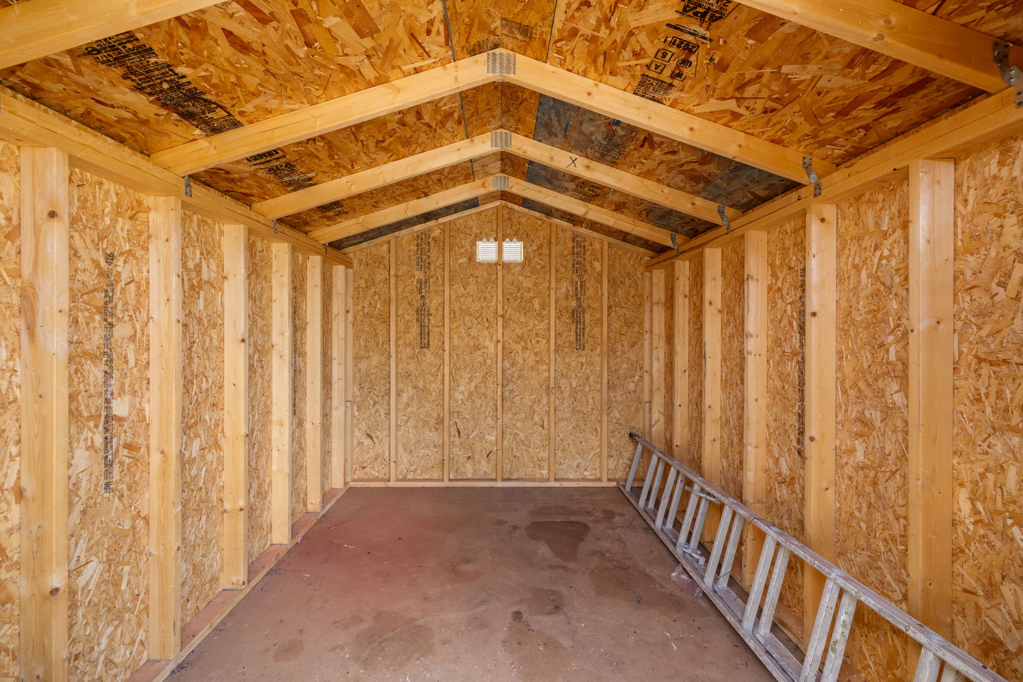 Shed Interior