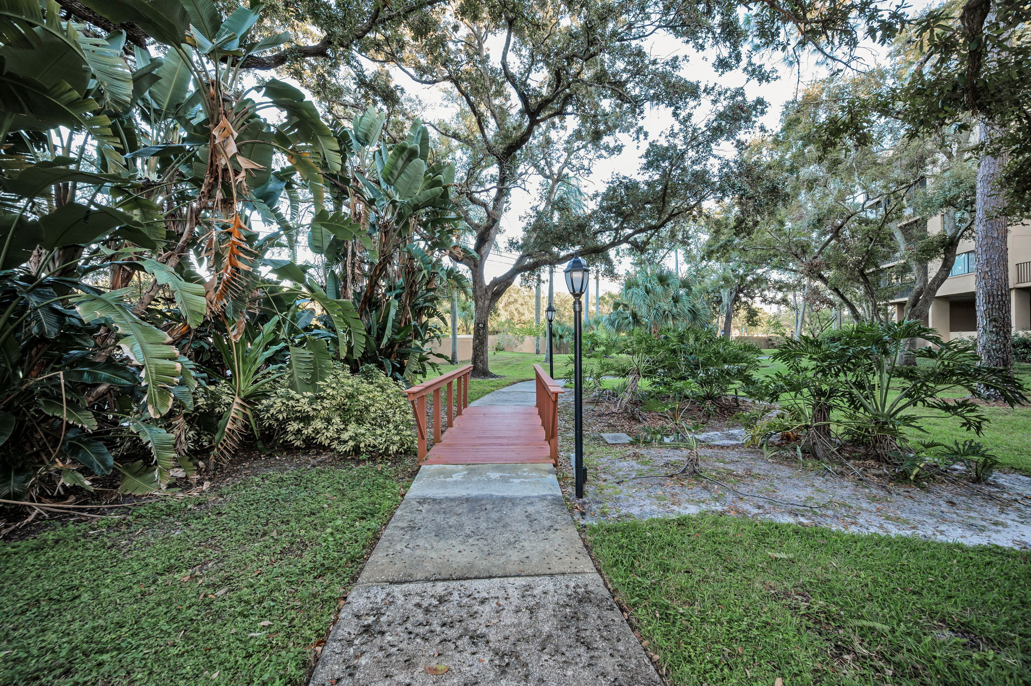 Backyard3