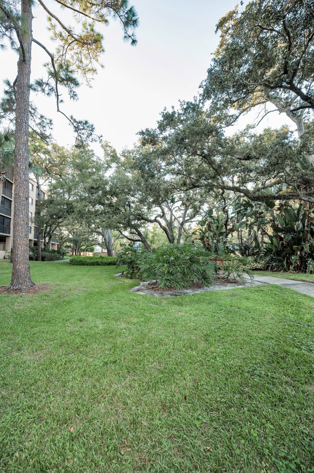 Backyard5