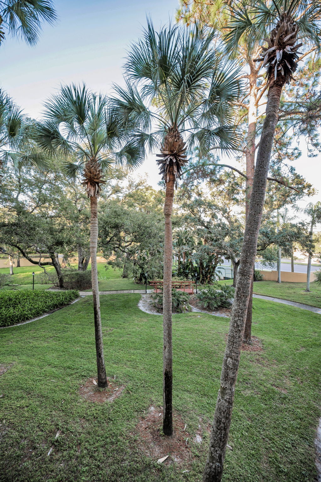 Balcony4 View