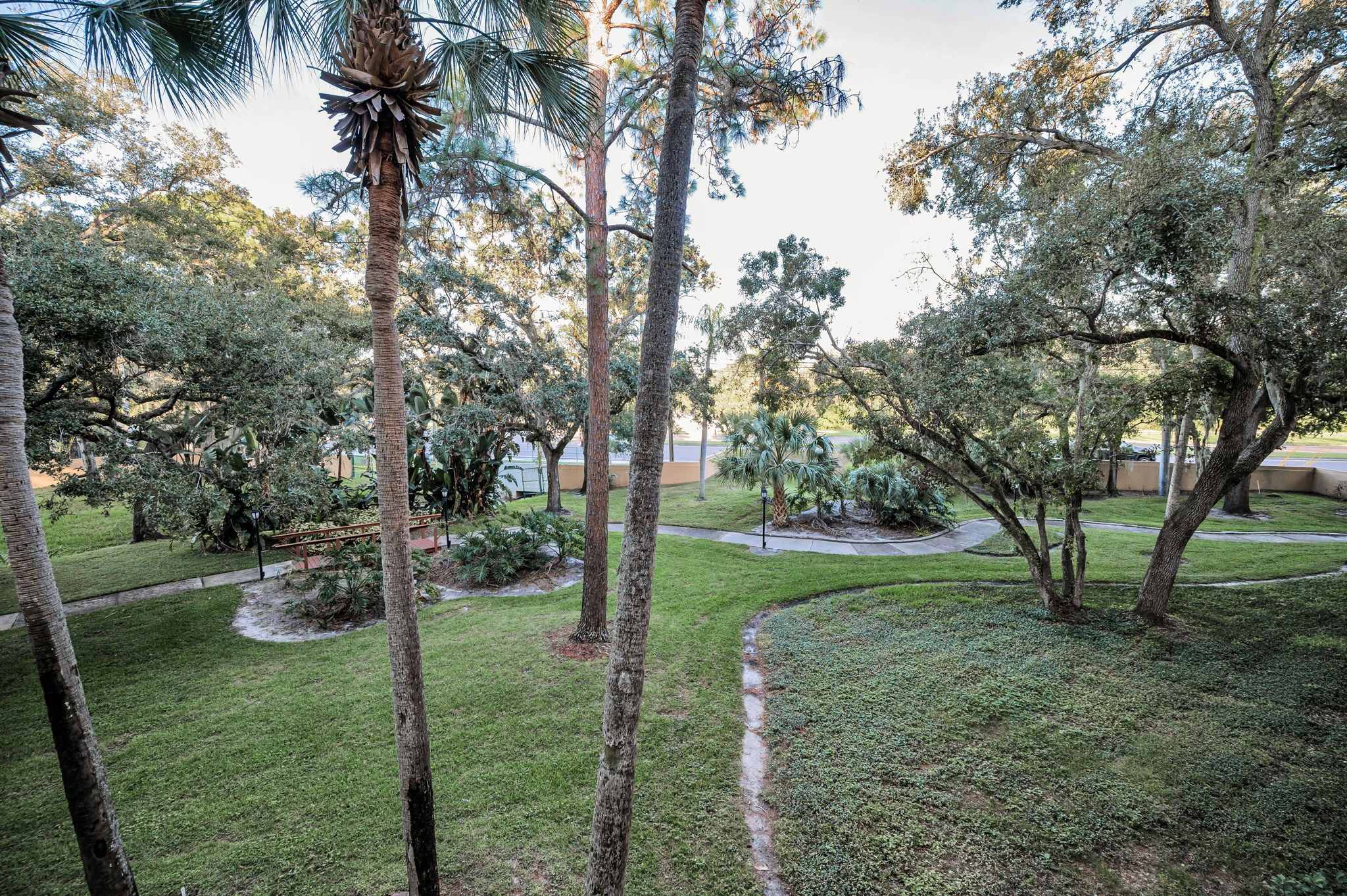 Balcony6 View