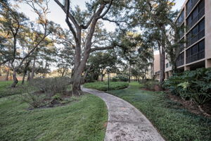 Backyard1