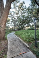Backyard2