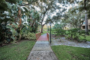 Backyard3
