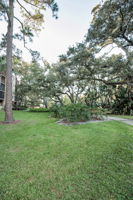 Backyard5