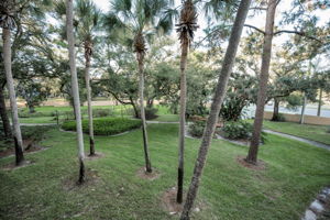 Balcony3 View