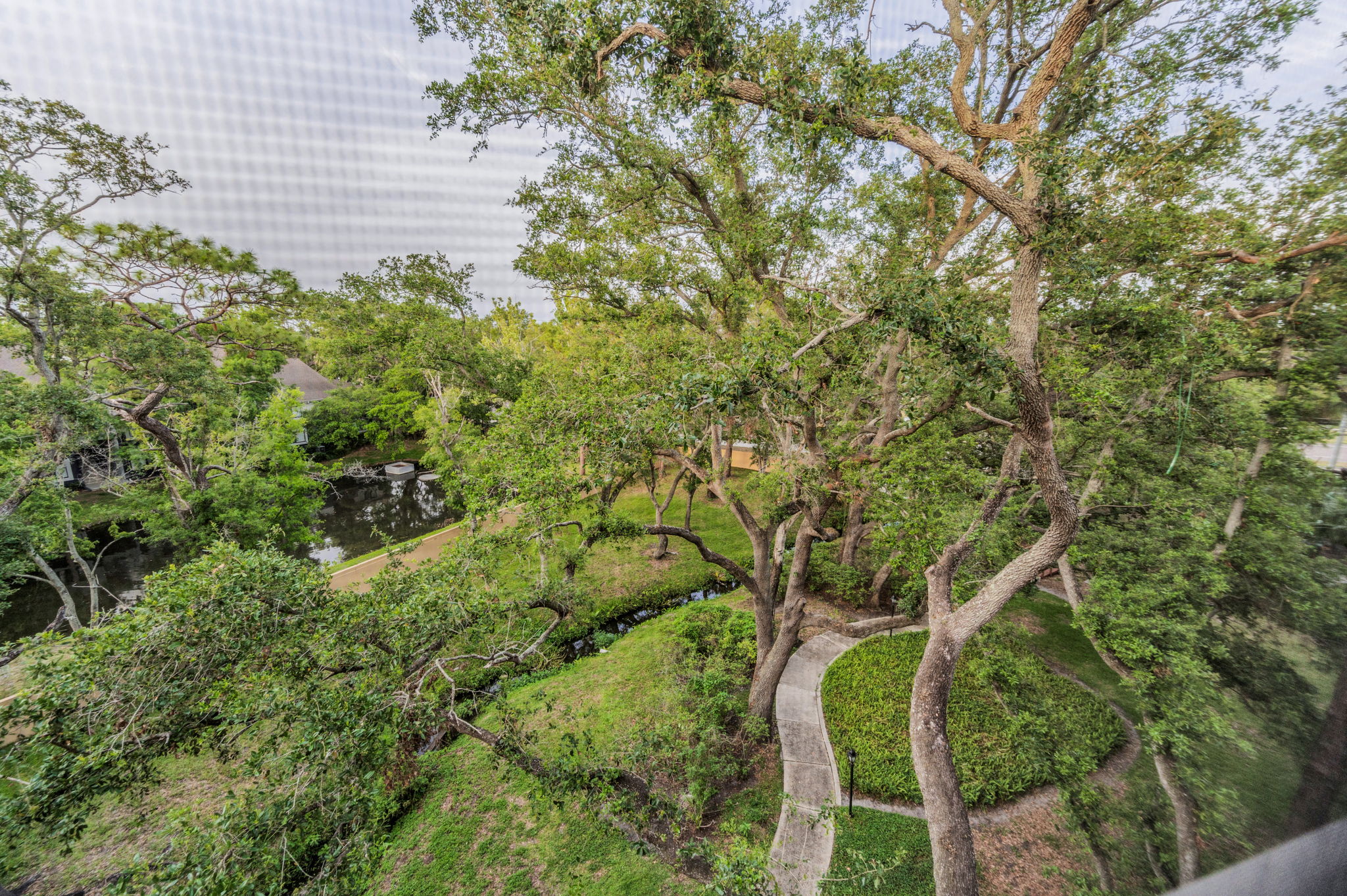 Balcony View