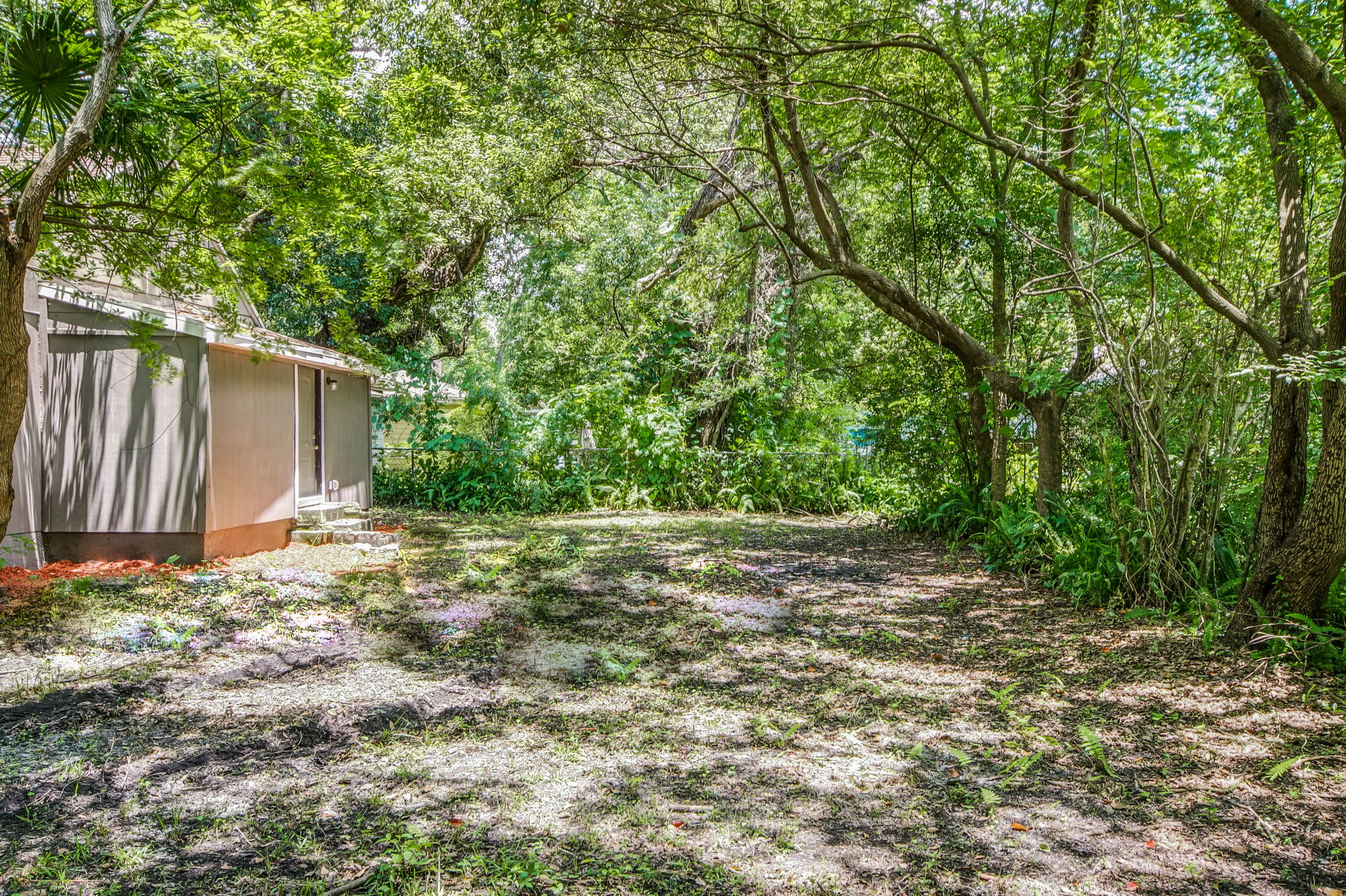 Backyard