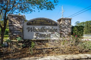Woodbridge Forest