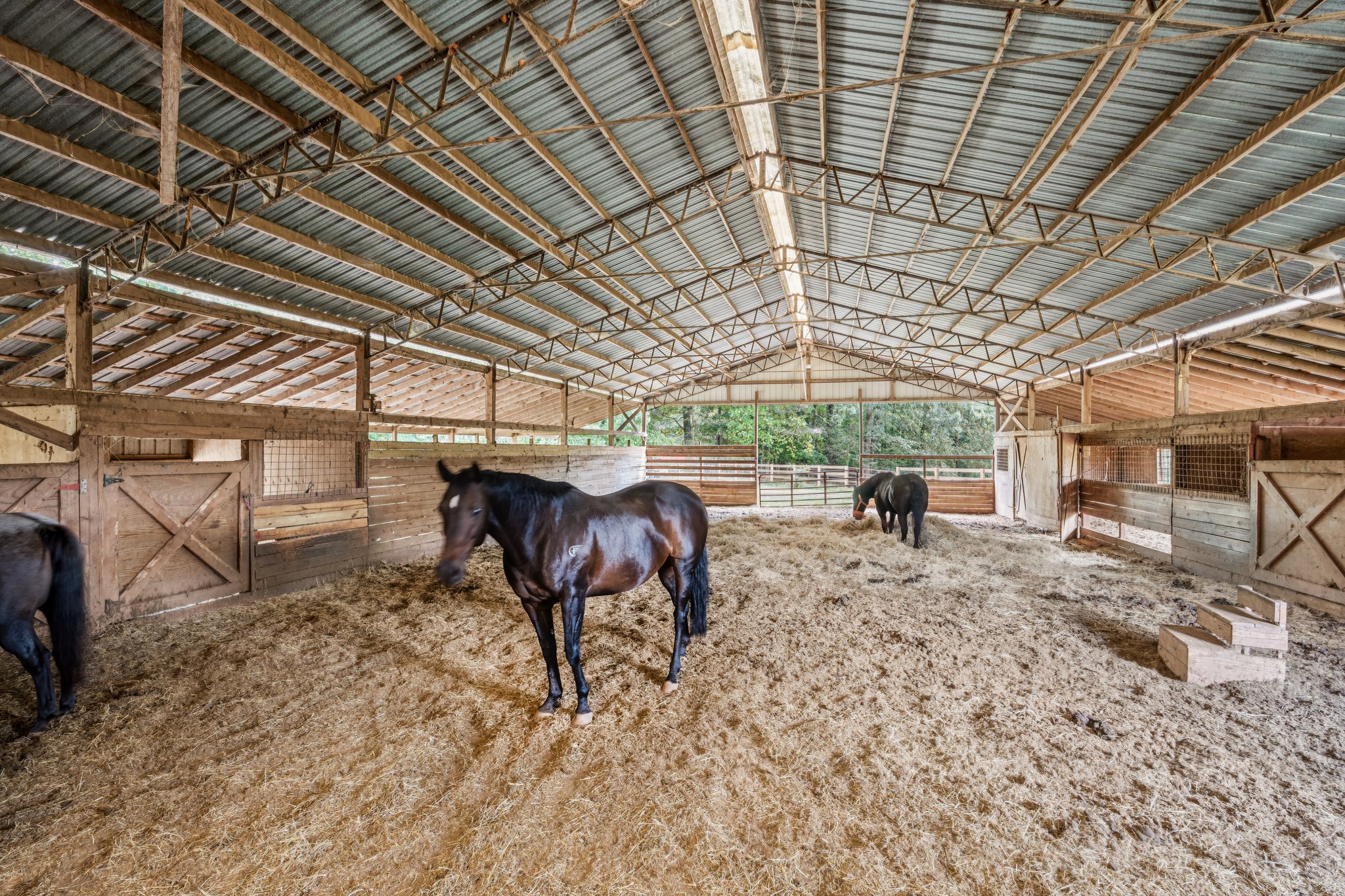Local_Flavor_Films-3066_Sweetwater_Juno_Rd_Dawsonville_GA-376.jpg