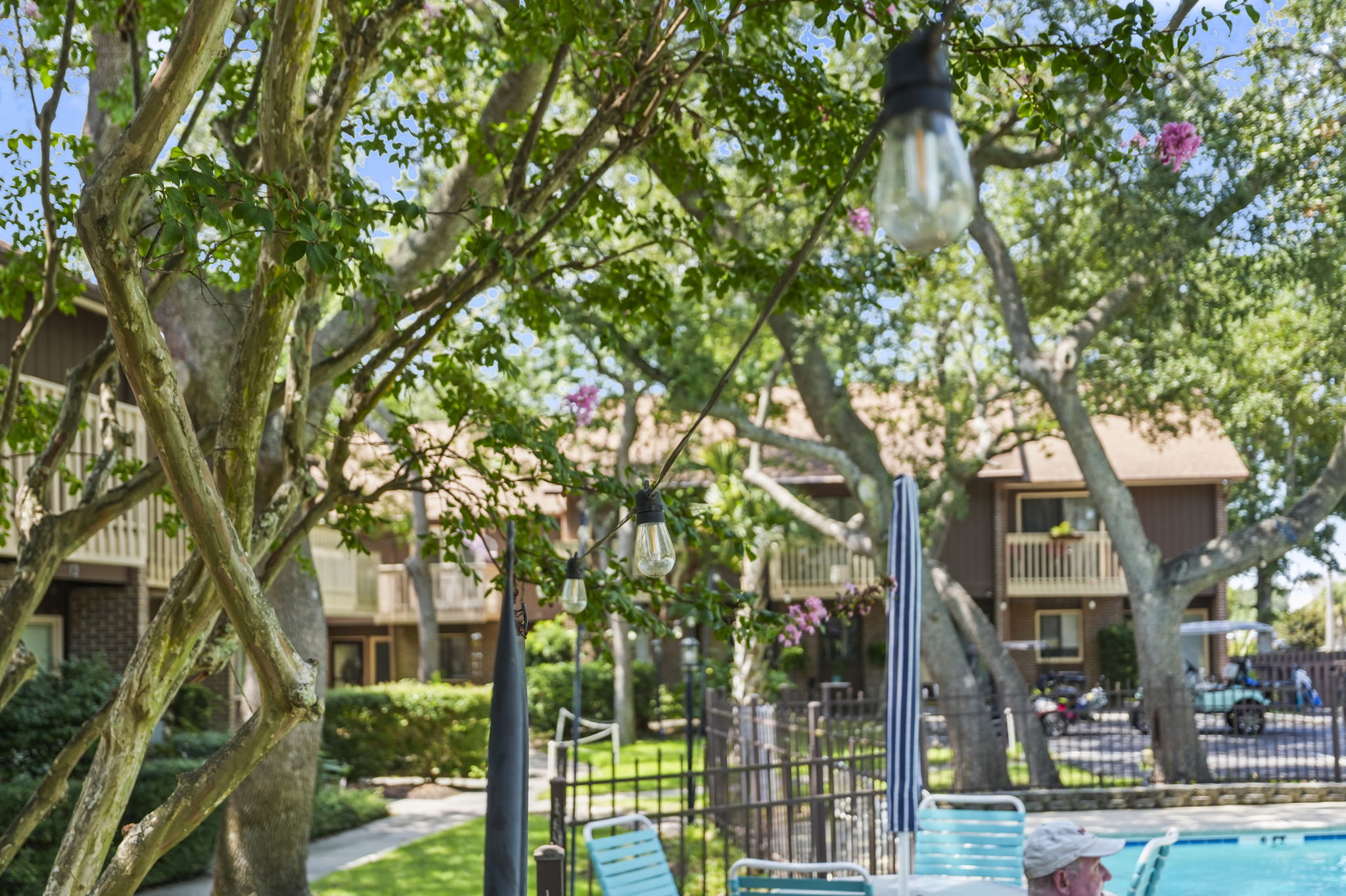  Photo 31