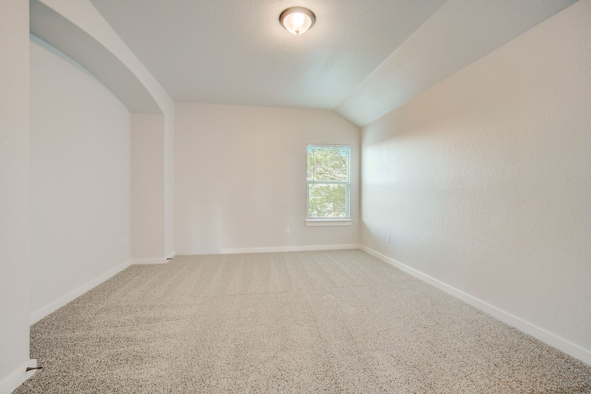 Ancient Oak Way-046