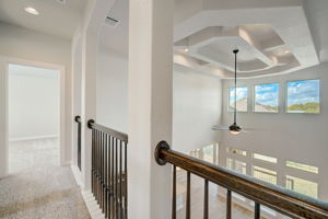 Ancient Oak Way-040