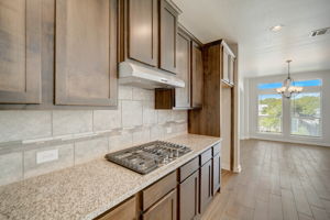 Ancient Oak Way-024