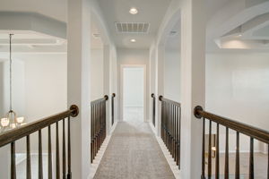 Ancient Oak Way-039