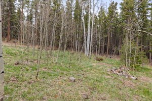  Photo 35