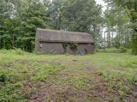  Photo 38