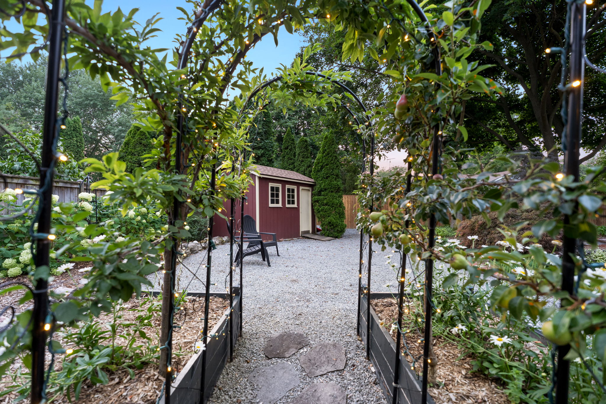 Raised beds with fruit tree arch