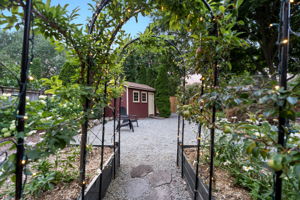 Raised beds with fruit tree arch
