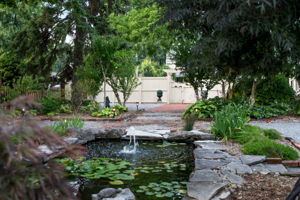 Fish pond