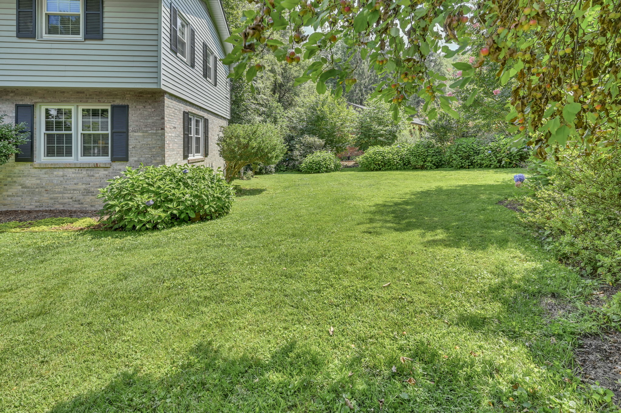 Side Yard