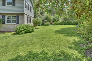 Side Yard