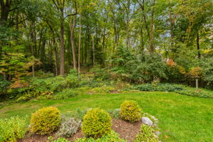 Private, secluded back yard