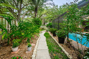 Backyard 1D