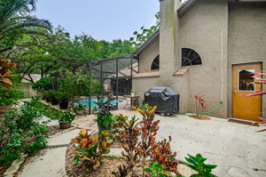 Backyard 1B-2