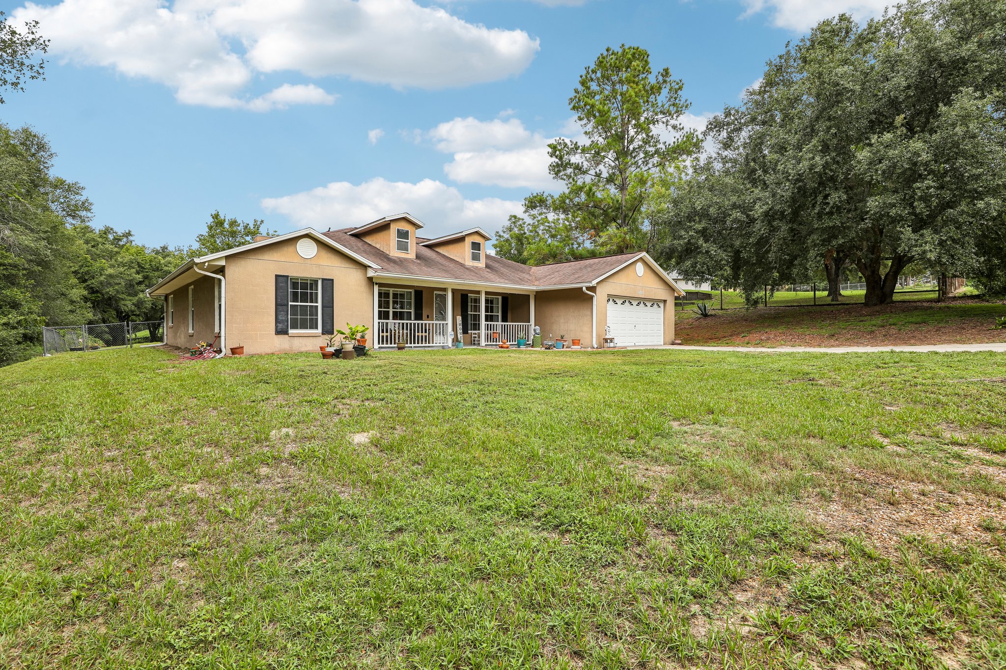 Buttercup Ln-S0508-003.jpg
