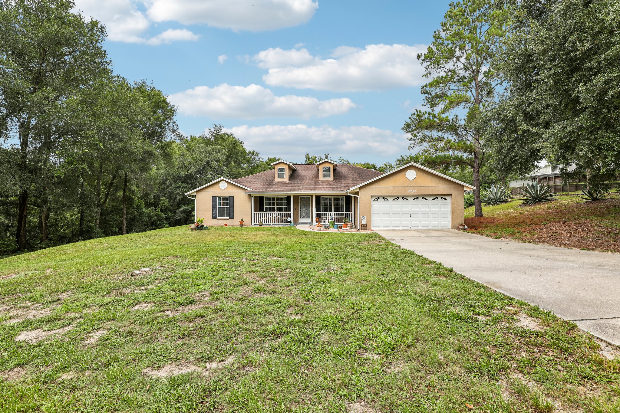 Buttercup Ln-S0508-004.jpg