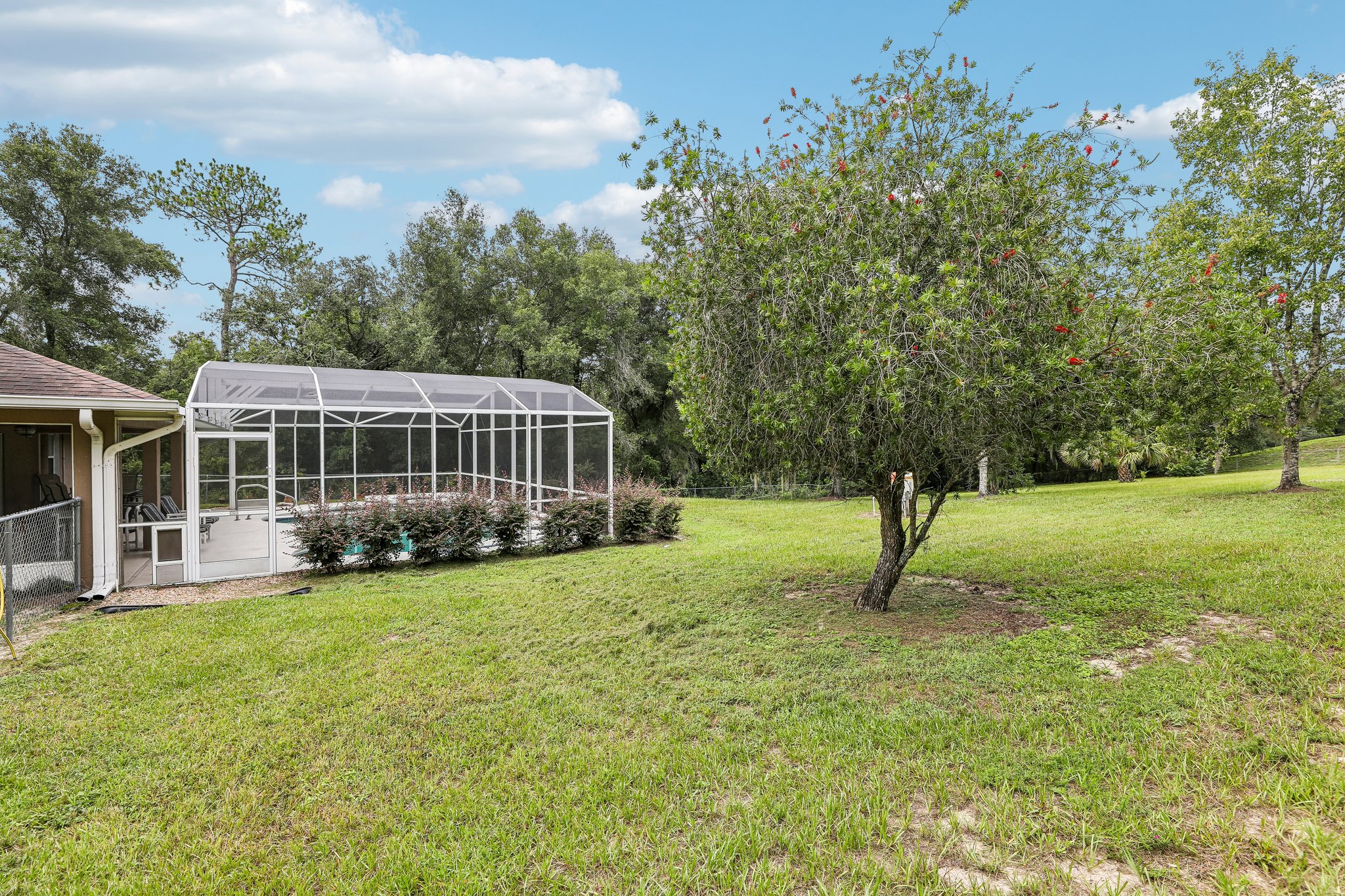Buttercup Ln-S0508-036.jpg